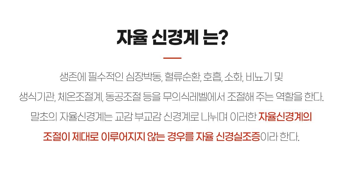 자율신경계란?