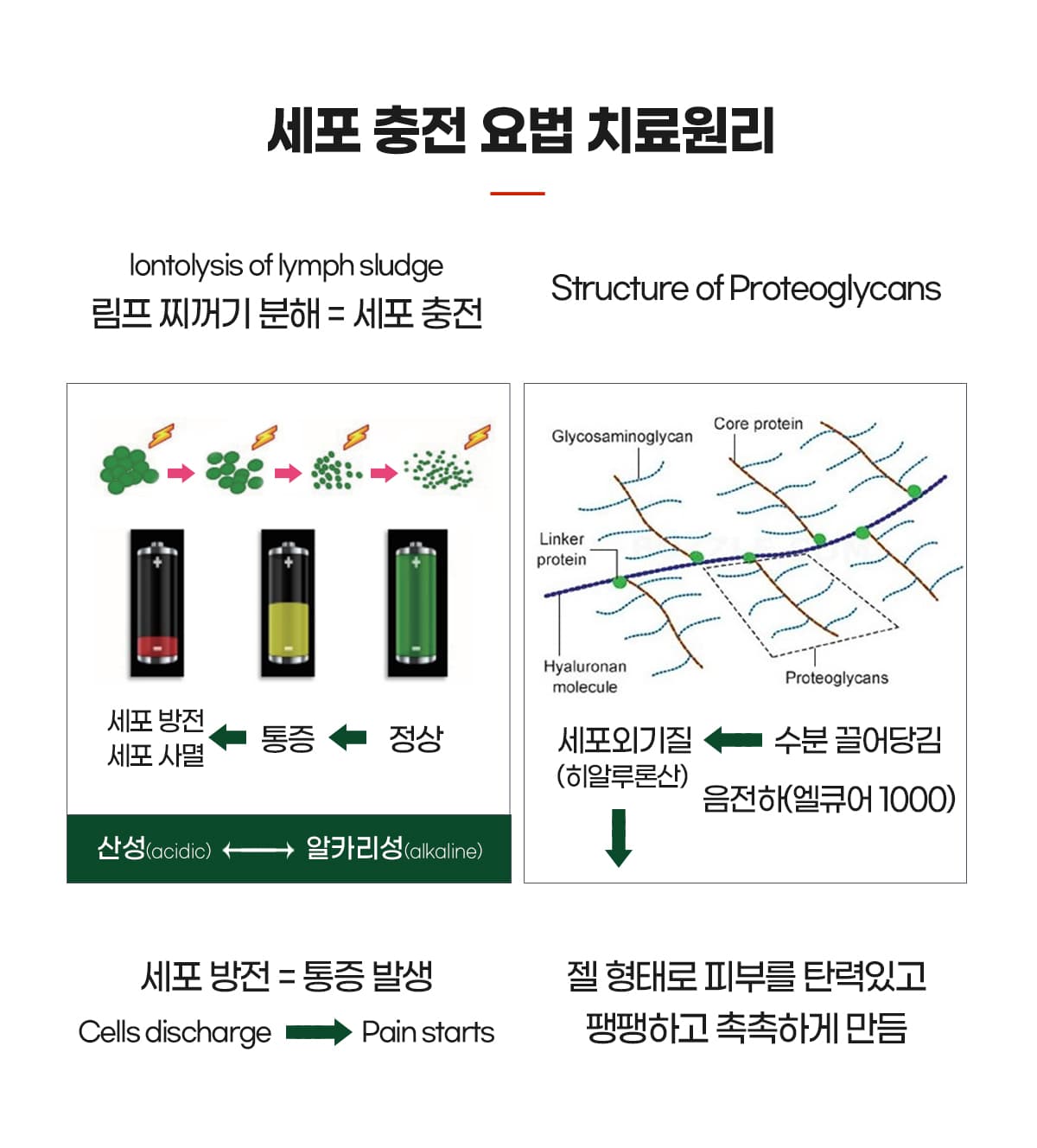 치료원리