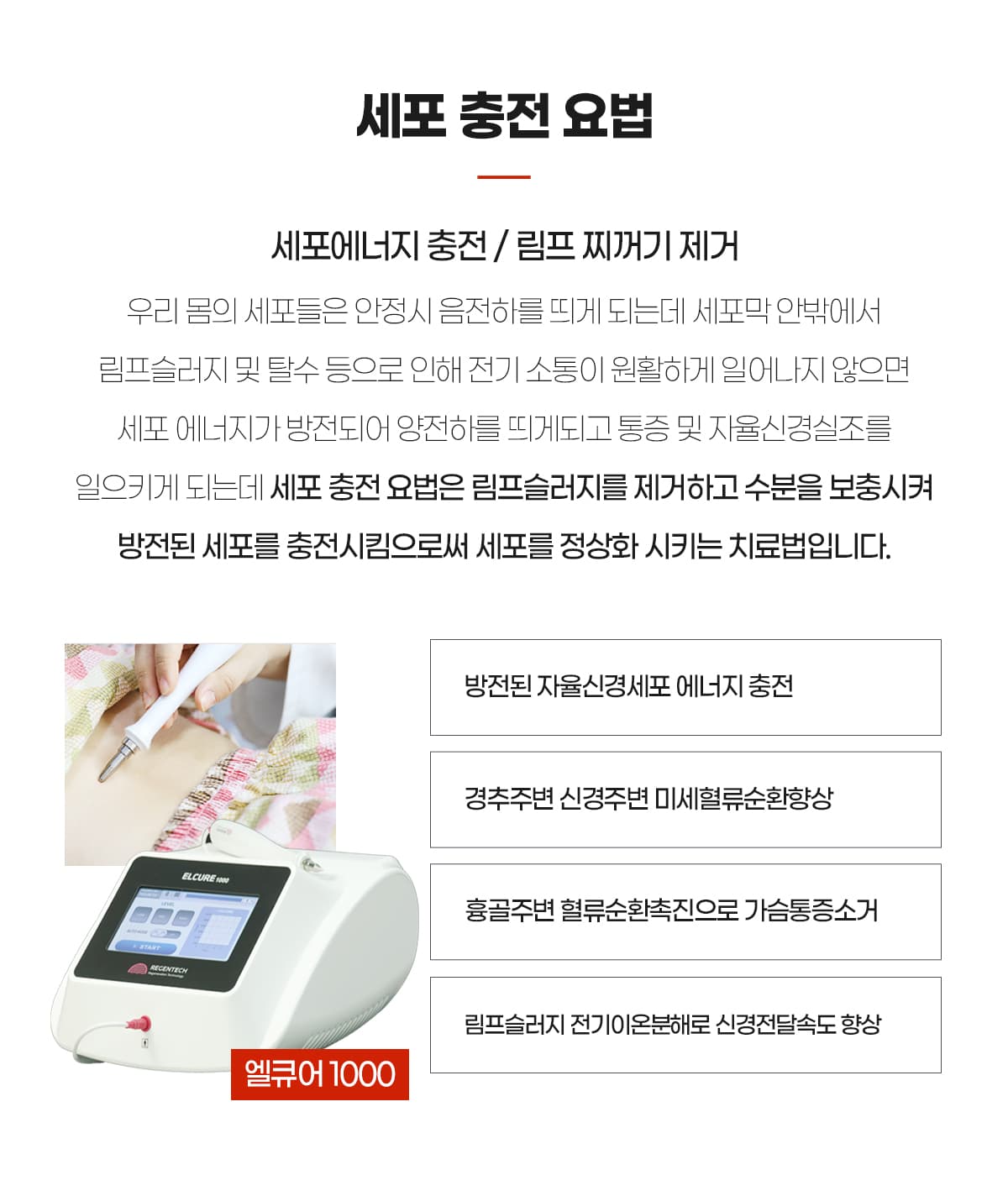 세포충전요법