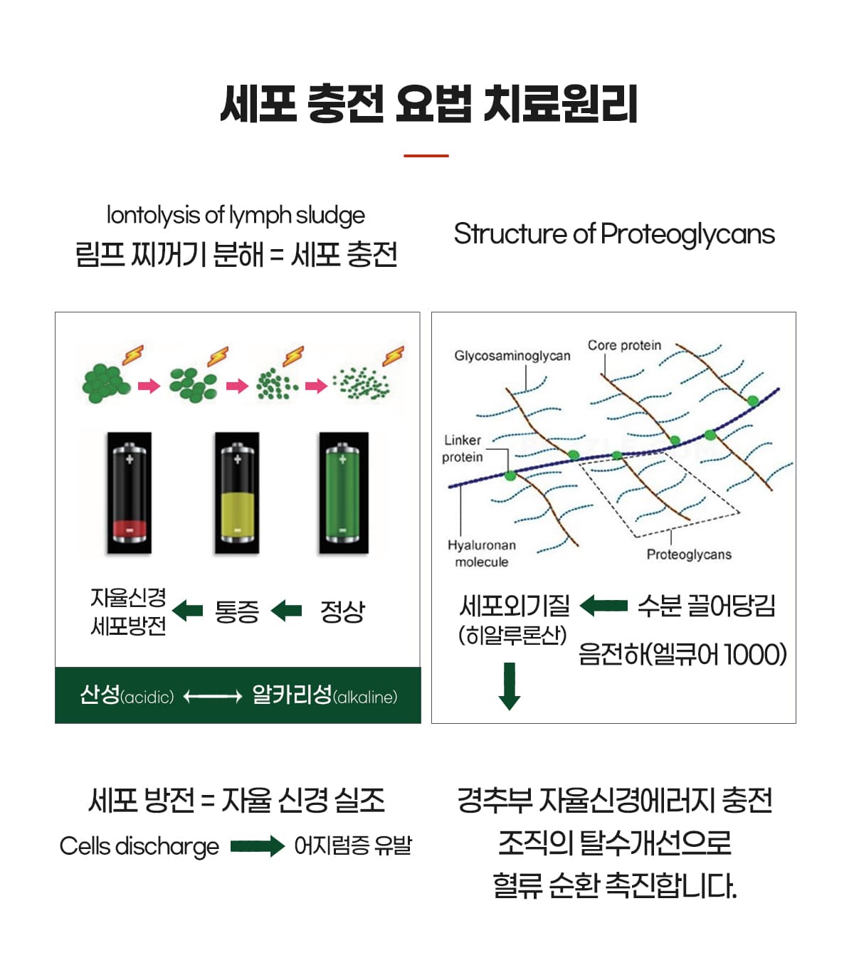 치료원리