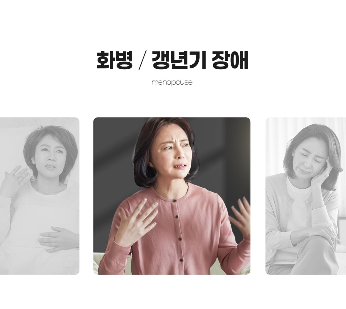 화병/갱년기 장애