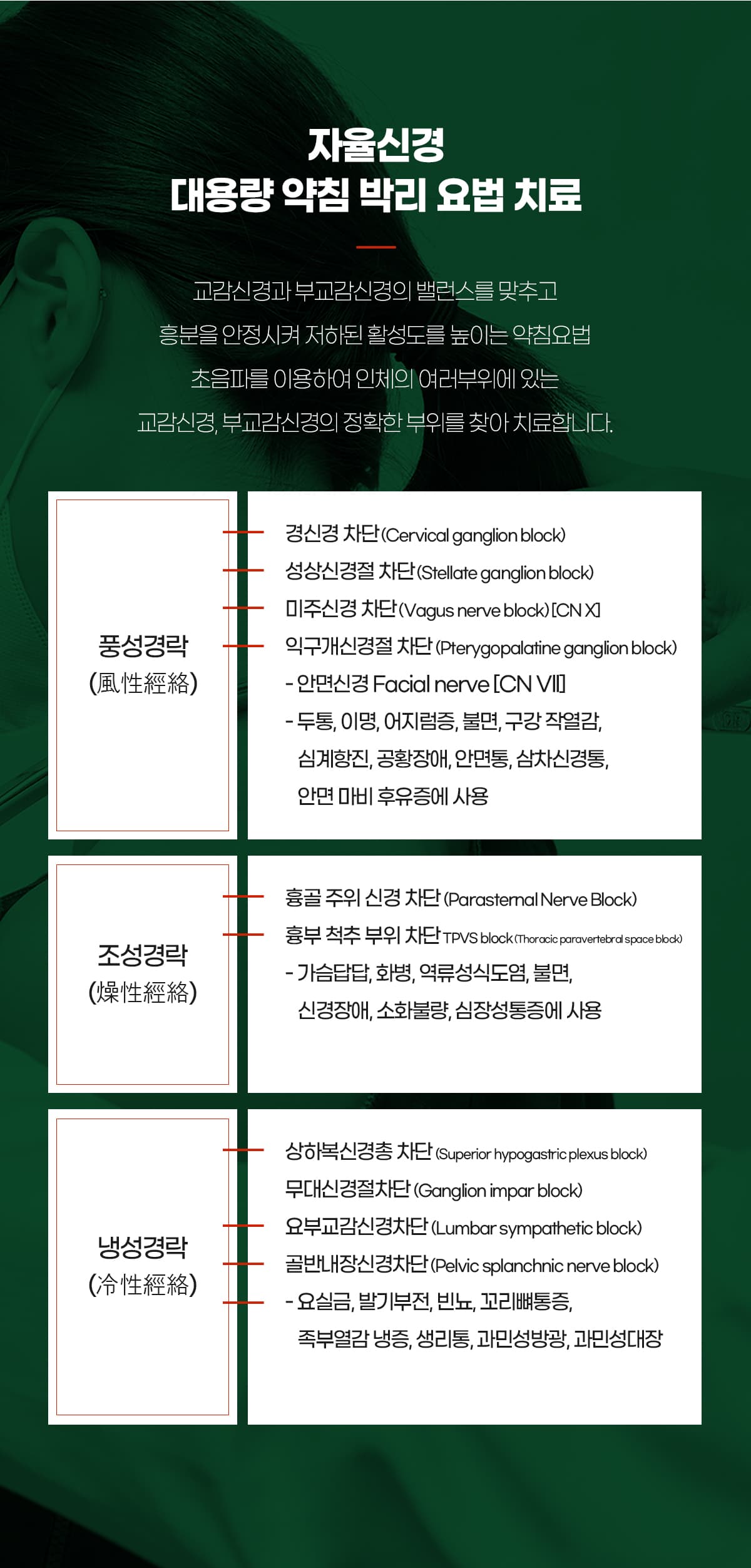 대용량약침박리요법