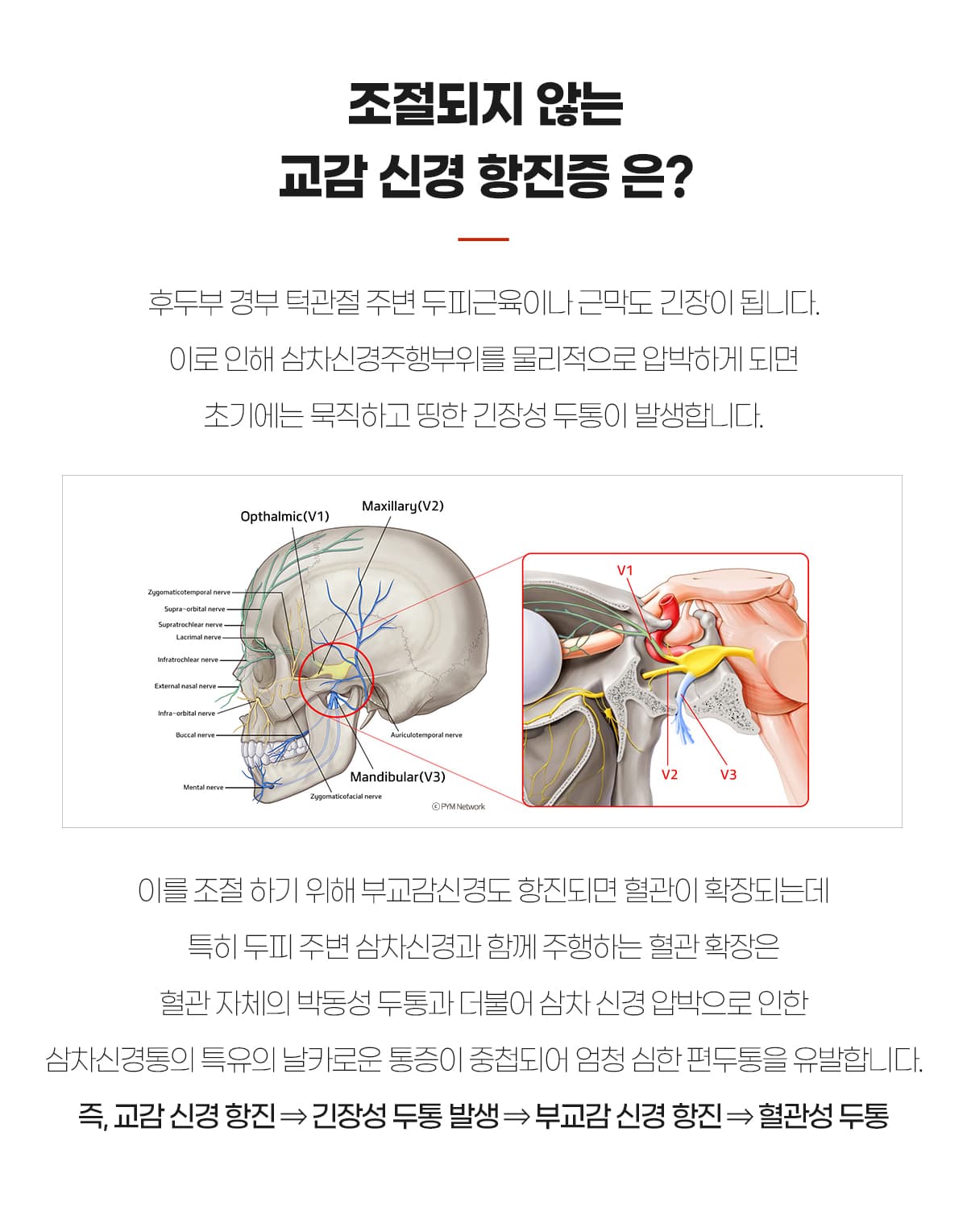 교감신경항진증