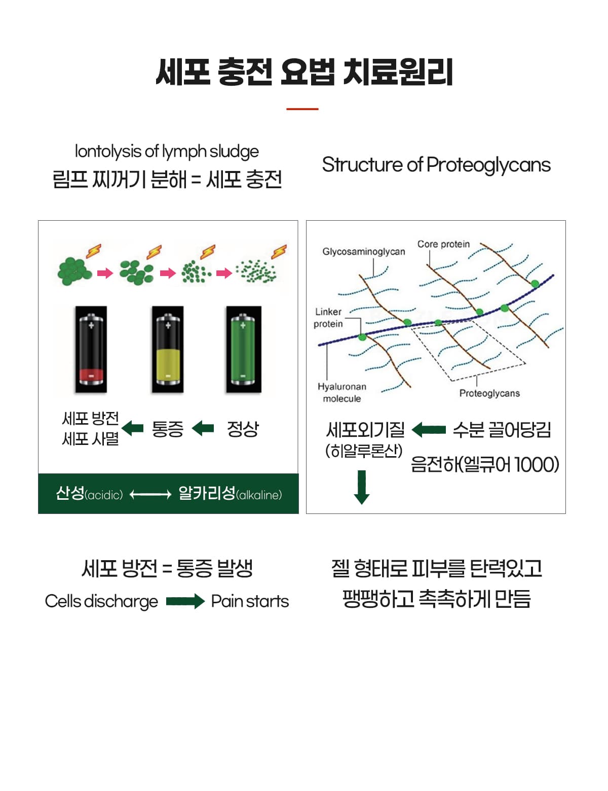 세포충전요법