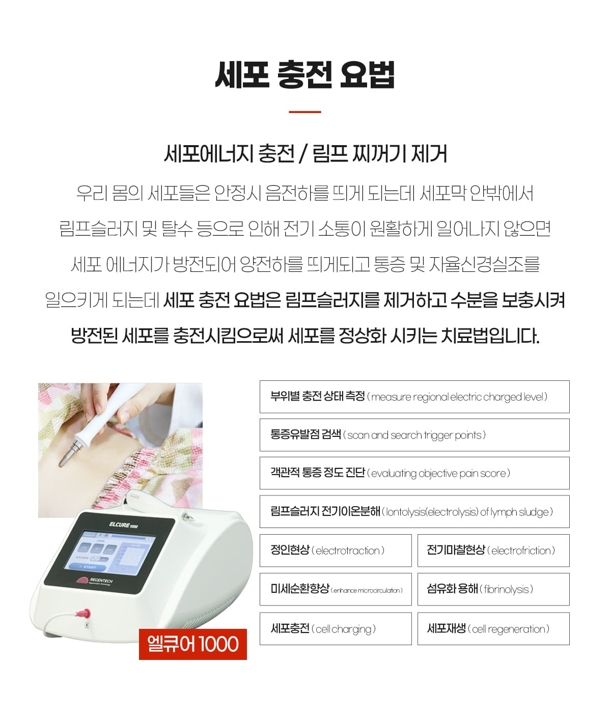 세포충전요법