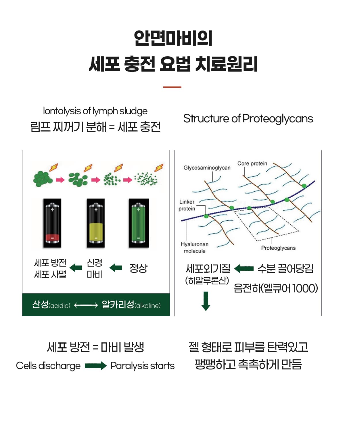 세포충전요법
