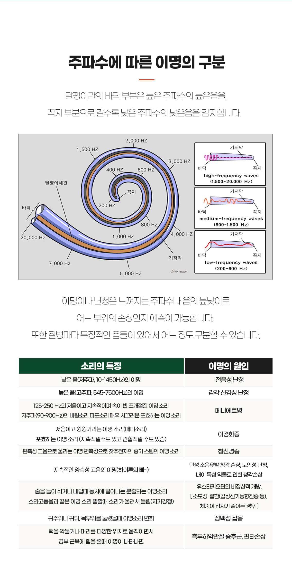 주파수에 따른 구분/특징