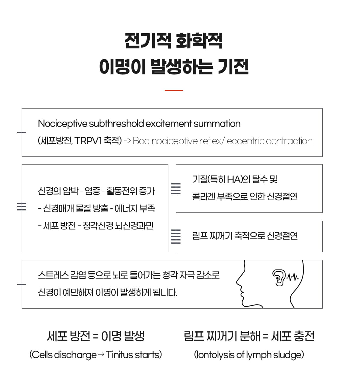 전기화학적 발생원인