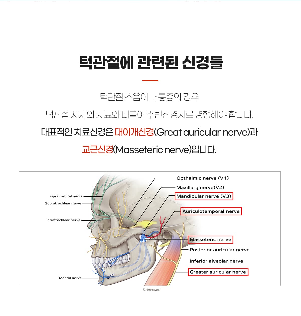 관련 신경