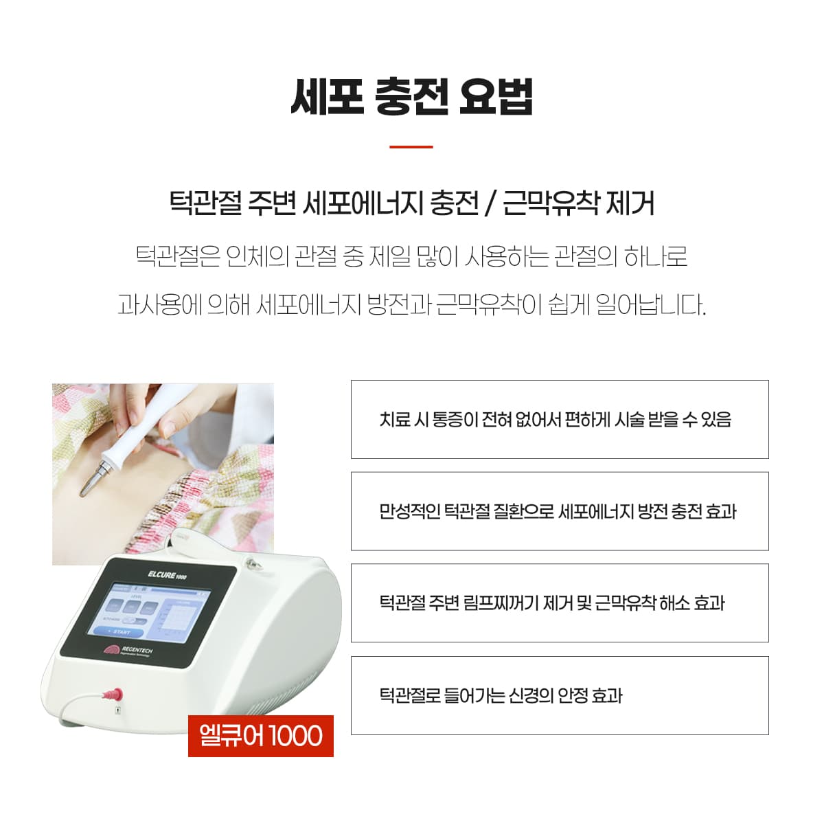 세포충전요법