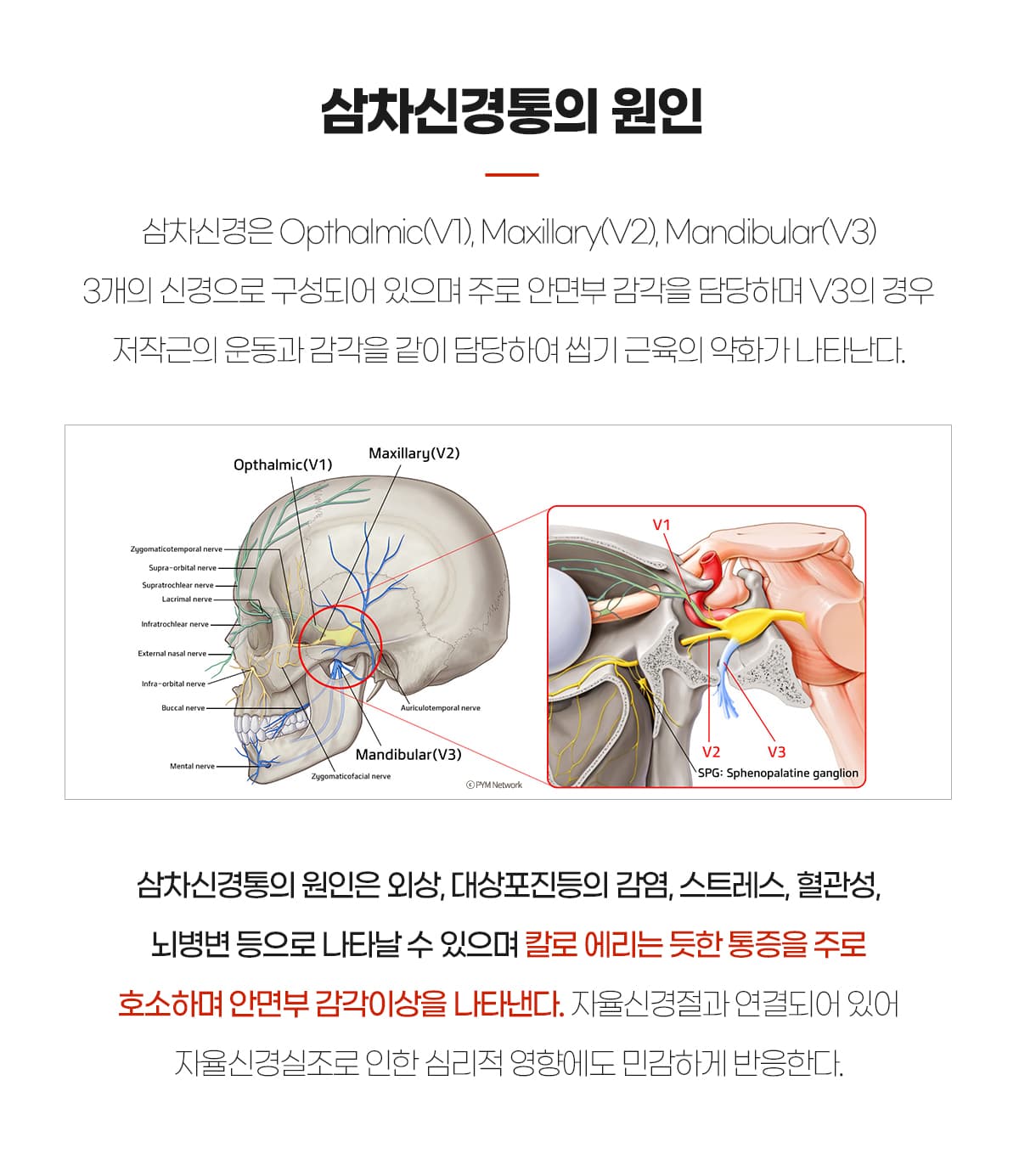 통증원인