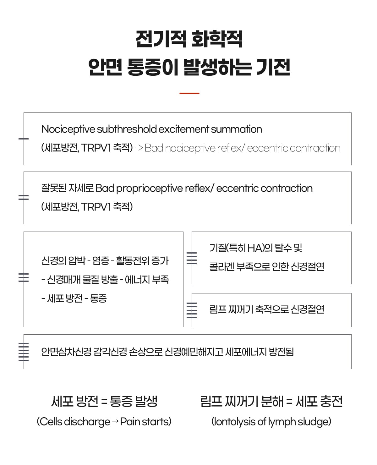전기화학적 통증기전