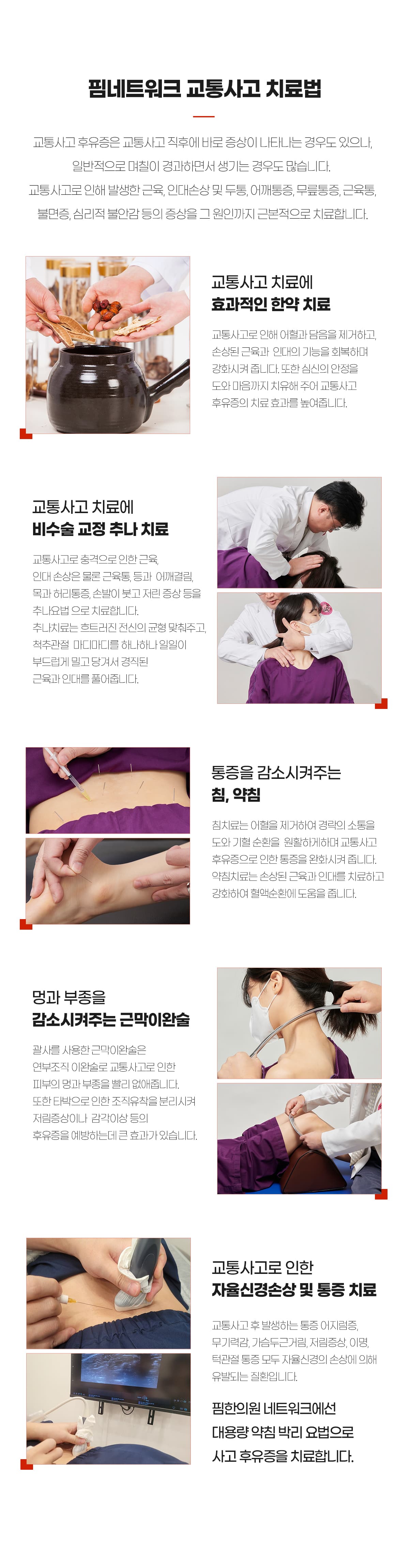 핌네트워크 치료법