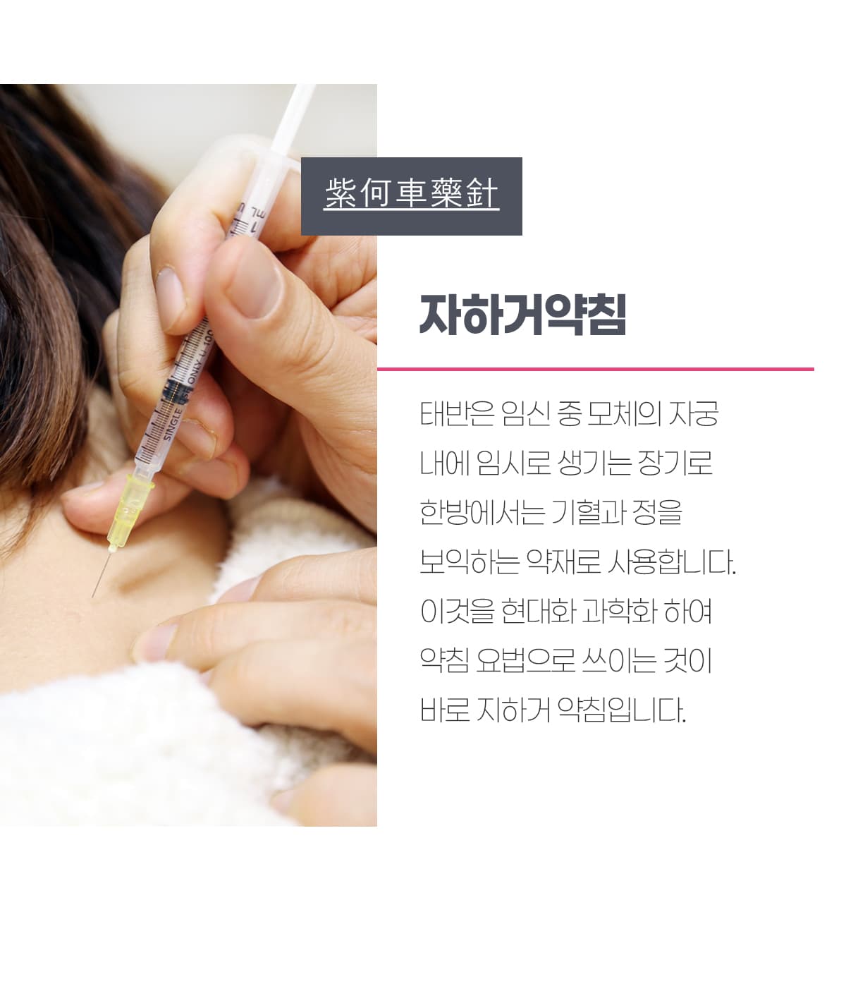 자하거약침