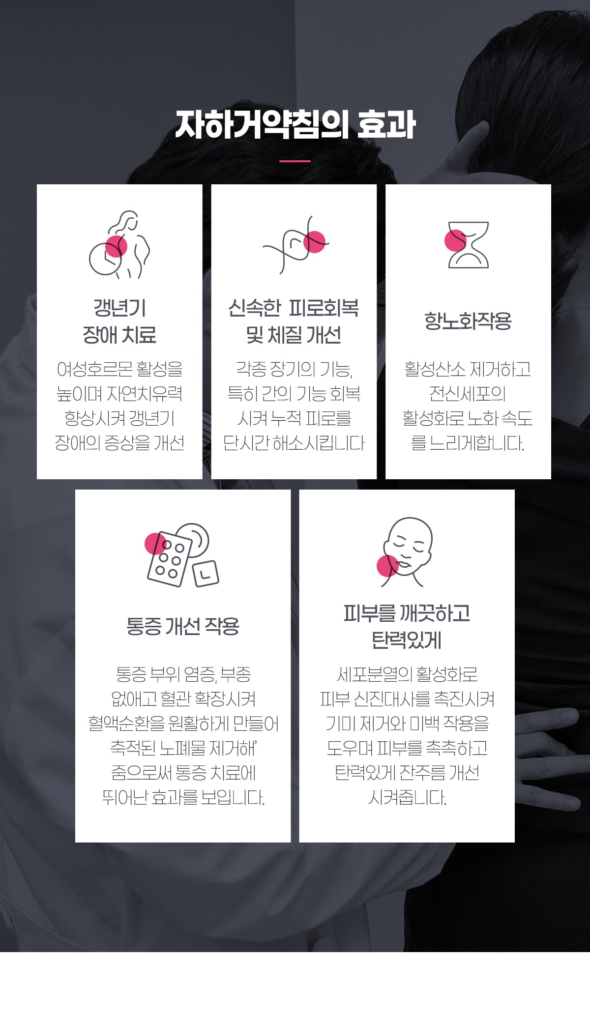 자하거약침 효과