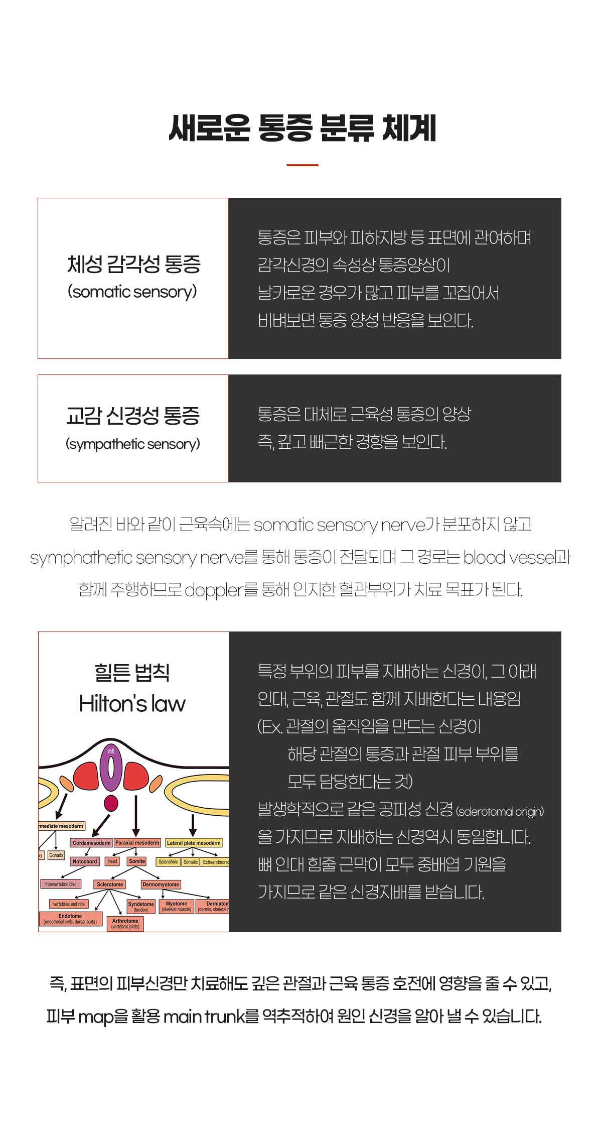 새로운 통증 분류 체계