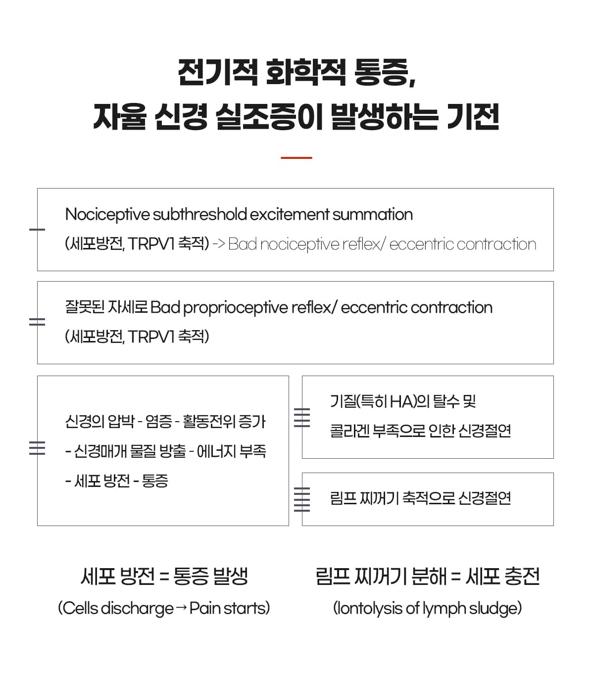 전기 화학적 발생기전