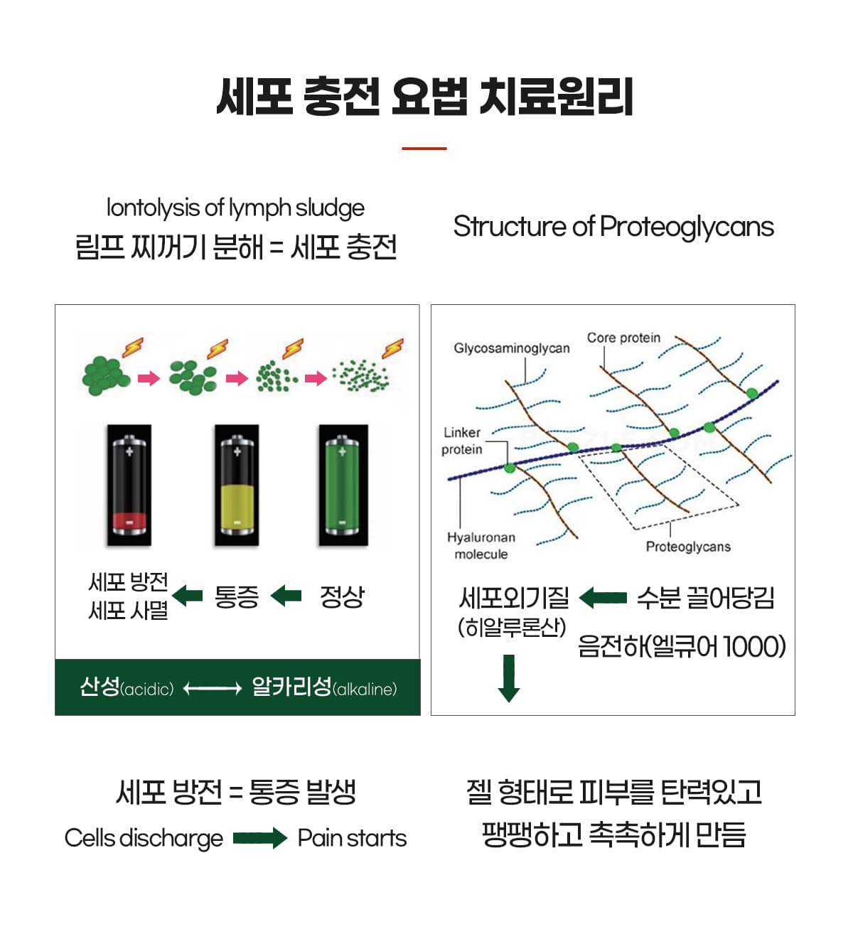 세포충전 치료원리